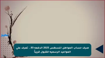 صرف حساب المواطن أغسطس 2025 الدفعة 93.. تعرف على المواعيد الرسمية للقبول قريباً